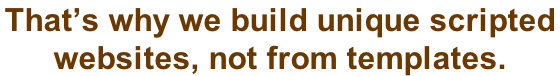 That’s why we build unique scripted  websites, not from templates.